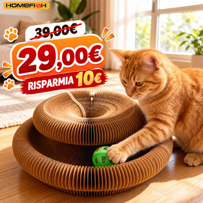 🐱 Tiragraffi Interattivo Trasformabile con Pista e Pallina
